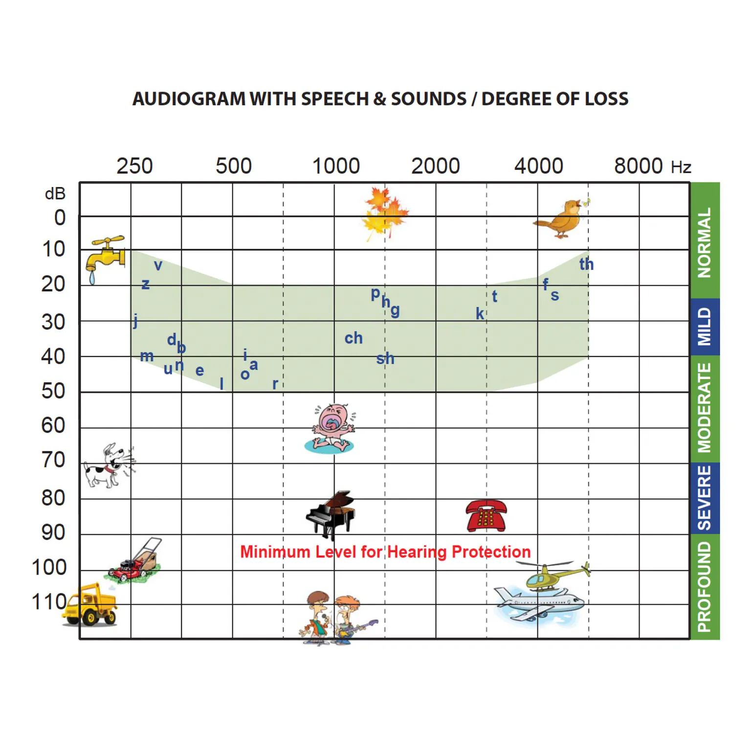 Understanding Your Audiogram: How To Read Your Hearing Assessment ...